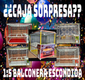 Caja Sorpresa Jaula C2