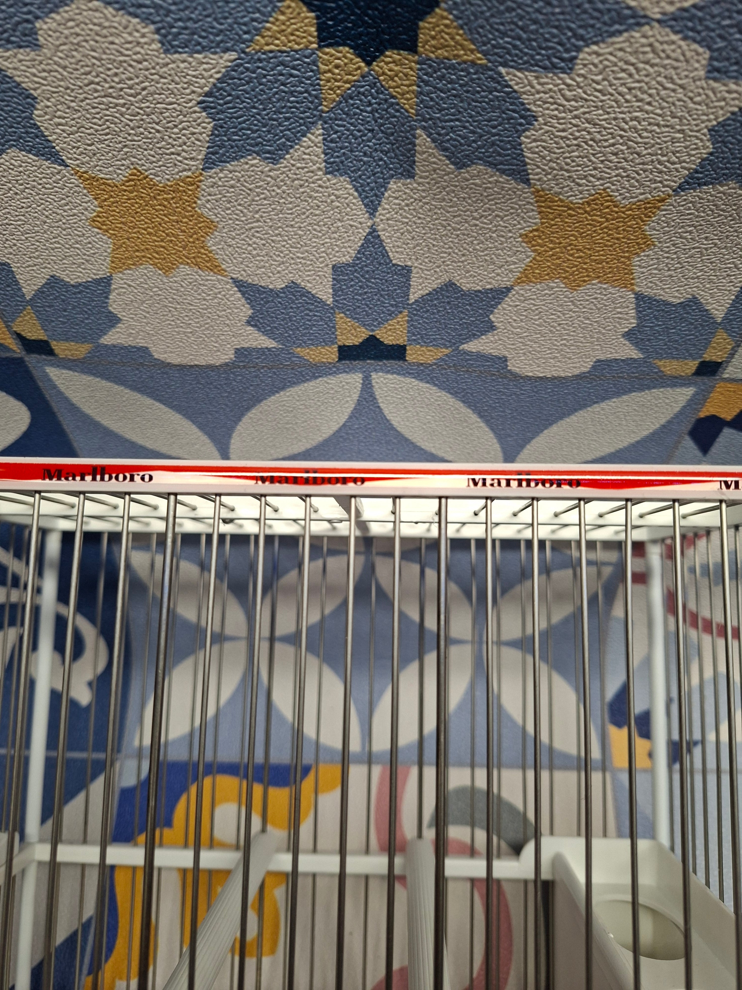 Jaula C2 Decorada