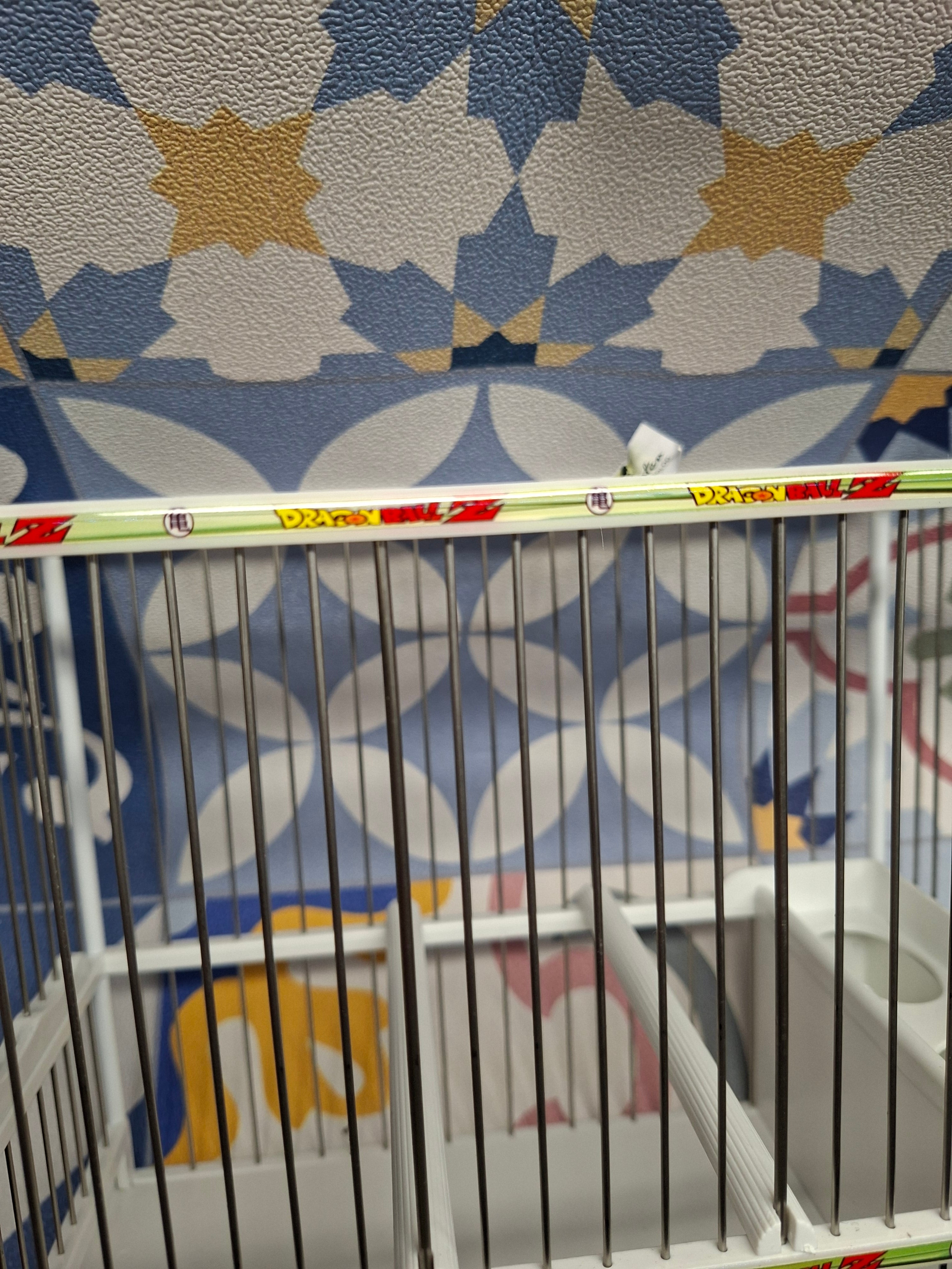 Jaula C2 Decorada