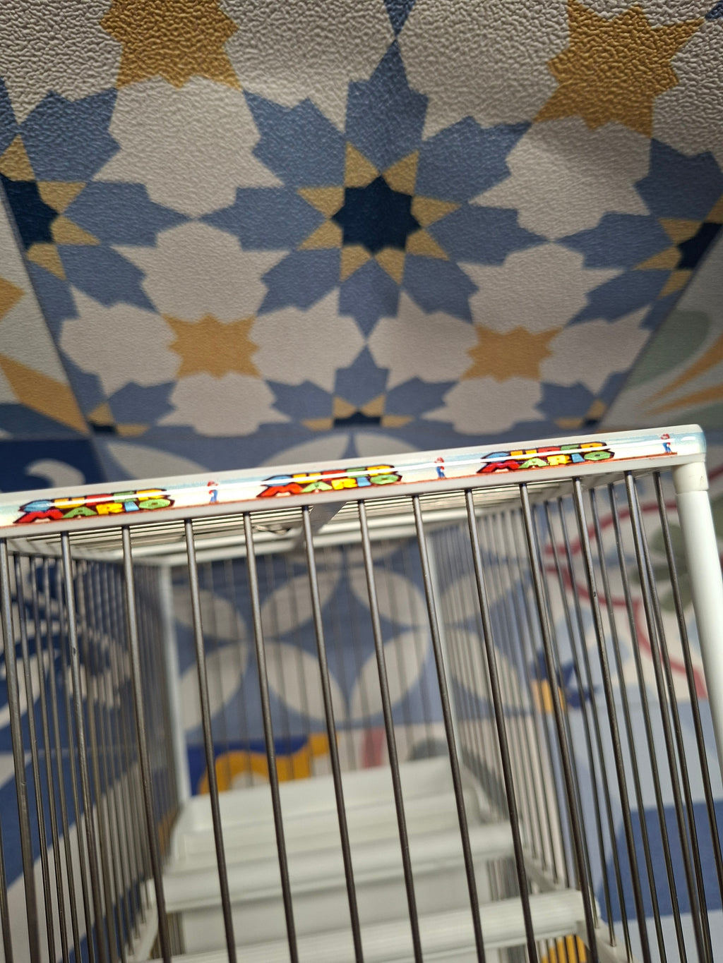 Jaula C2 Decorada