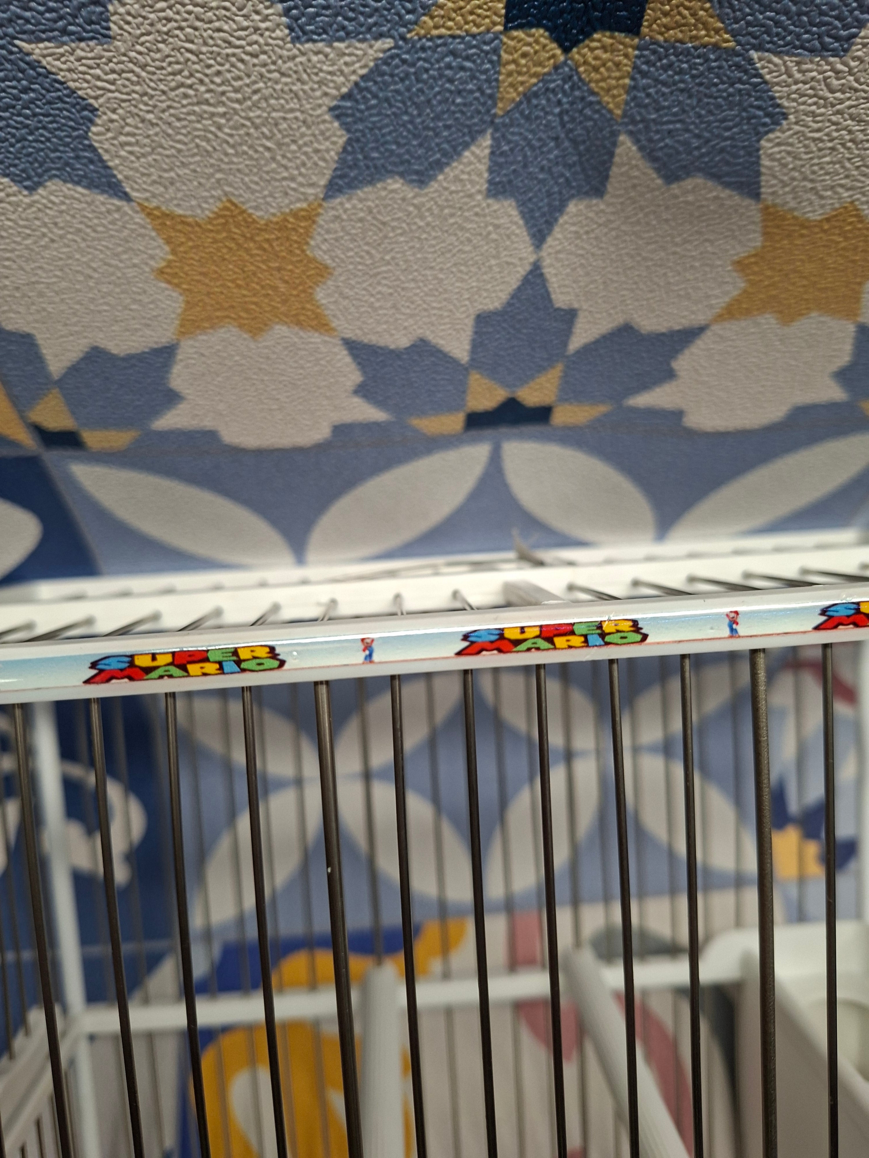 Jaula C2 Decorada