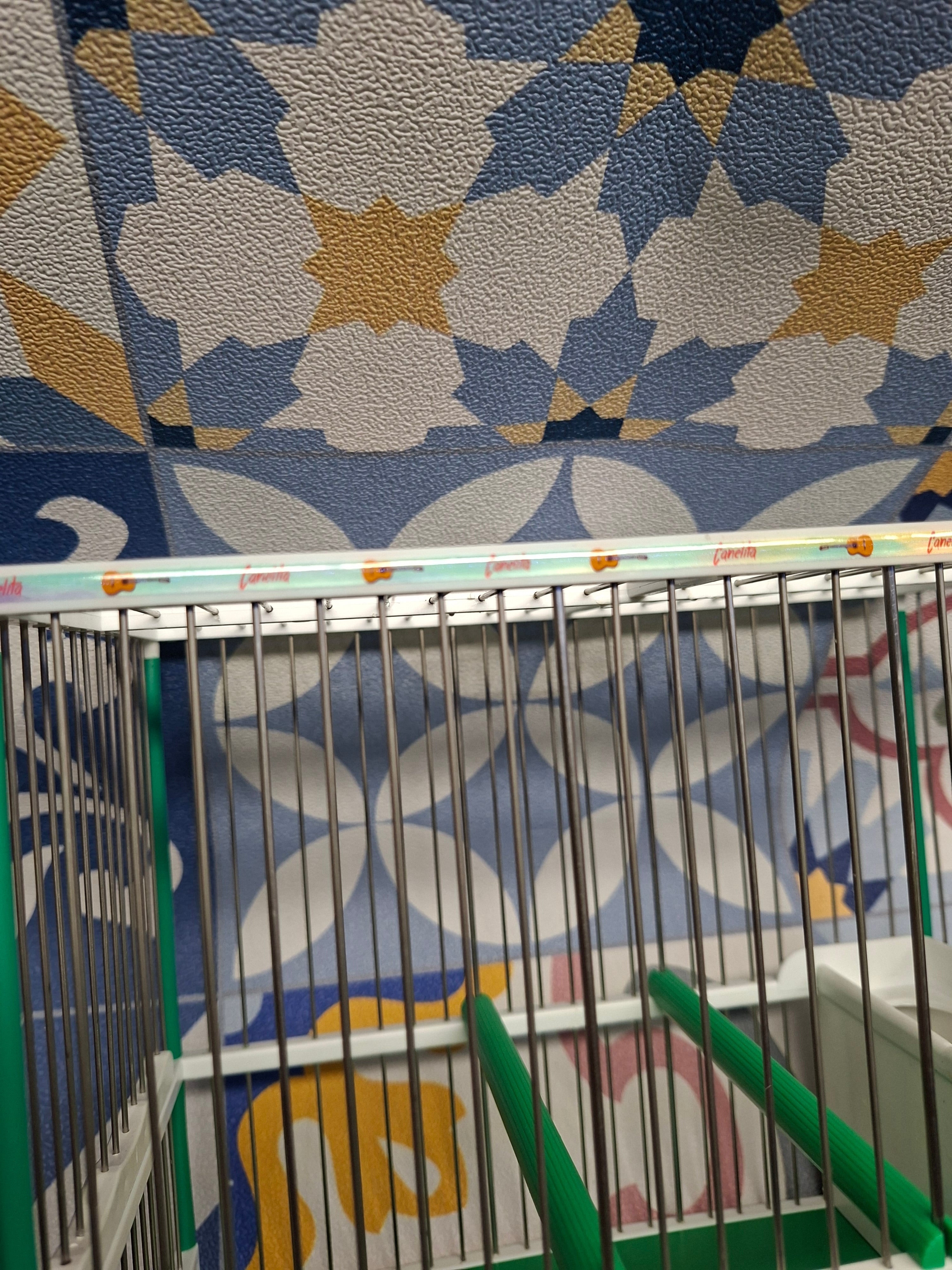 Jaula C2 Decorada