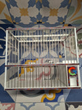 Jaula C2 Decorada